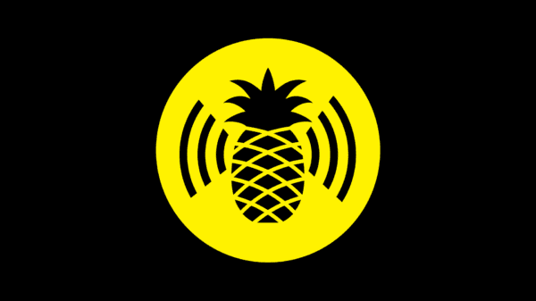 The Dangers of the “Pineapple” & Using Public Wi-Fi Connections