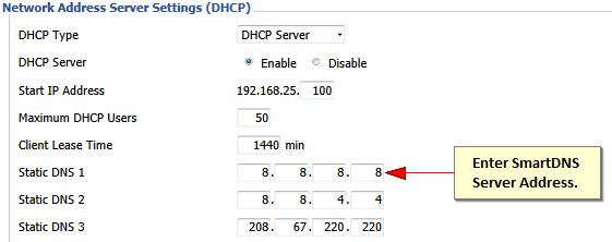 Enter Address On Smart DNS Router Setup