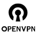 Open VPN