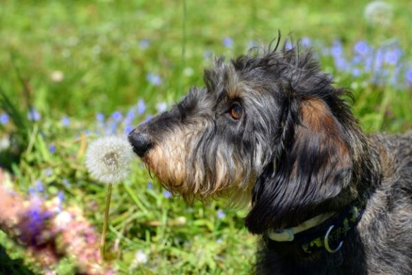 How To Protect Your Home Network From Packet Sniffers