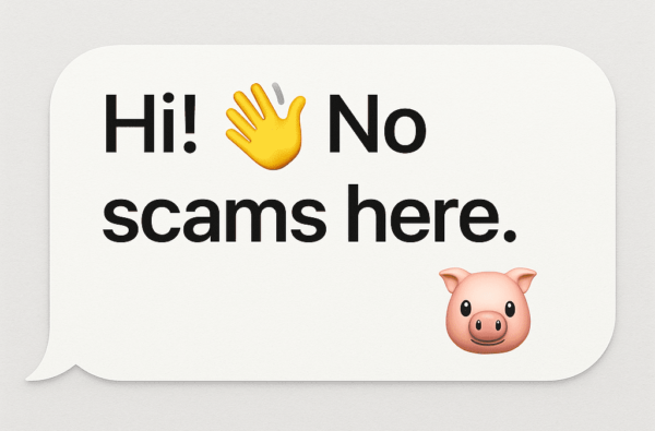 pig butchering no scams here hi text message